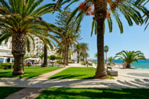 Armacao de Pera promenade, lawns and palm trees Armacao de Pera promenade, lawns and palm trees